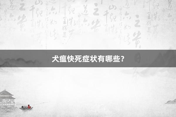 犬瘟快死症状有哪些？